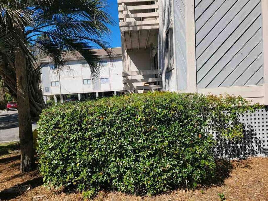 2022 Renovated 2-Bdrm Cozy, Lovely Condo W/Parking! Hilton Head Island Buitenkant foto